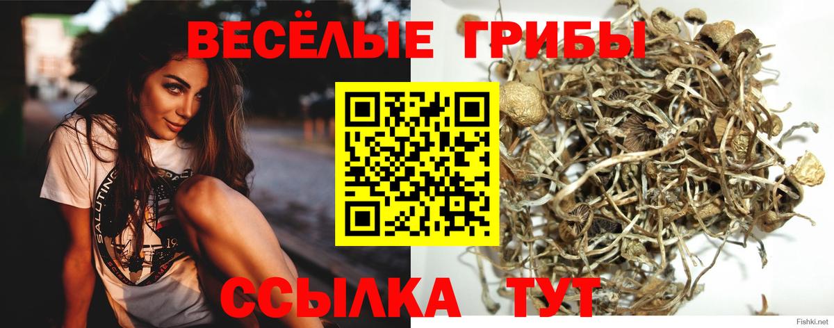 Галлюциногенные грибы прущие грибы Беслан